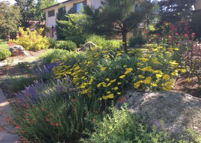 What is a xeric garden? This picture of a water wise garden can give you water saving ideas to turn your front yard into a garden. Who can help me with landscape ideas? Online Landscape Designs can give you water wise garden ideas.
